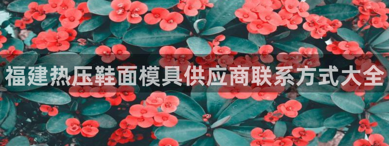 易倍emc网址网页版本登陆