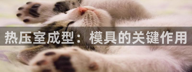 emcapp下载普通下载