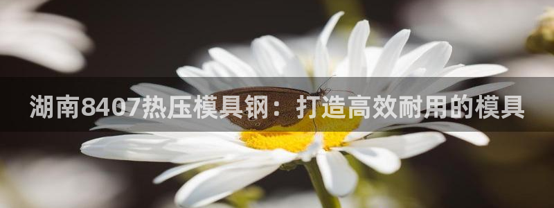 易倍纤多少钱：湖南8407热压模具钢：打造高效耐用的模具