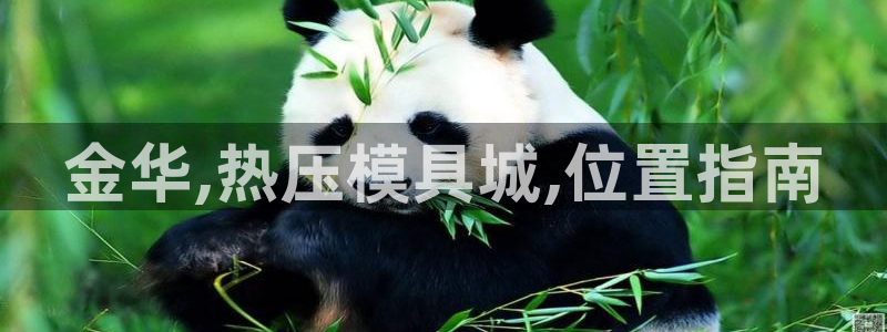 易倍申片说明书