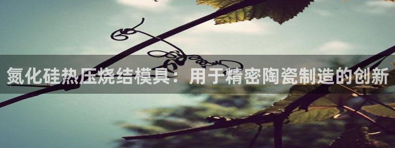 易倍纤代餐奶昔怎么样：氮化硅热压烧结模具：用于精密陶瓷制