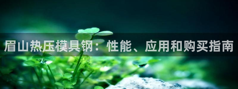 emc网页版
