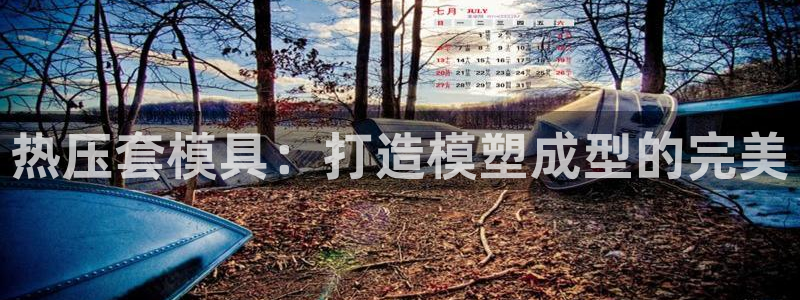 易倍科华生物科技有限公司：热压套模具：打造模塑成型的完美