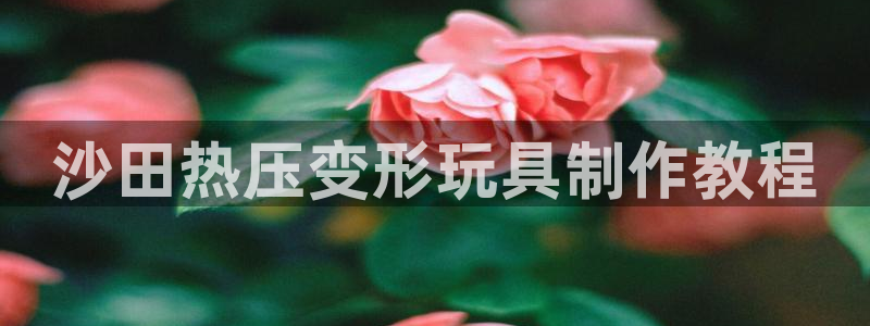 emc易倍官网首页进入