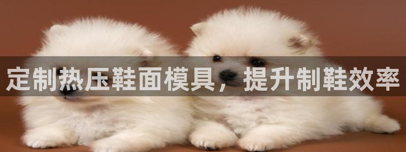 易倍康简历