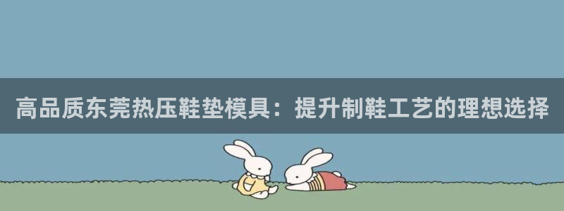 易倍易倍单词官方网站：高品质东莞热压鞋垫模具：提升制鞋工