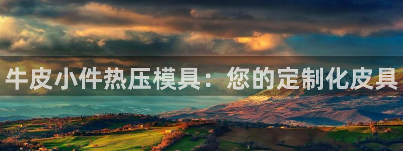 易倍电竞,有球必应