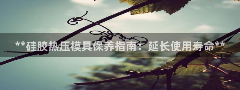 易倍全站