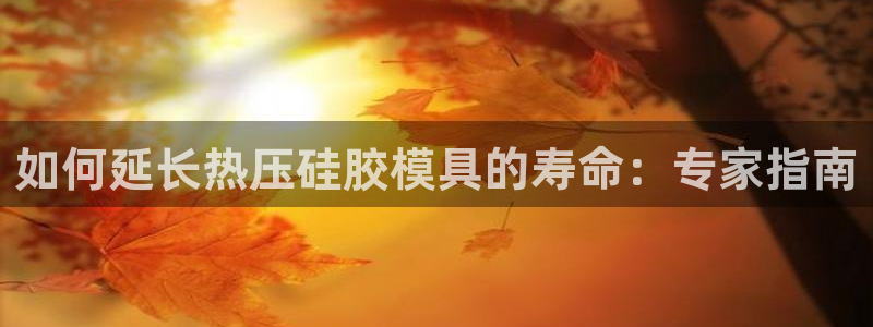 易倍纤减肥价格：如何延长热压硅胶模具的寿命：专家指南