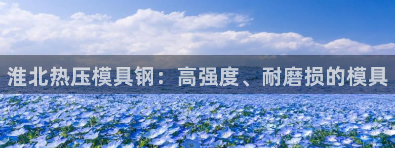 易倍emc网址：淮北热压模具钢：高强度、耐磨损的模具