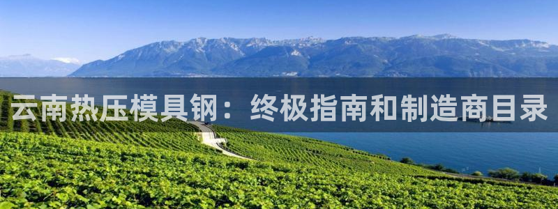 易倍单词app下载：云南热压模具钢：终极指南和制造商目录