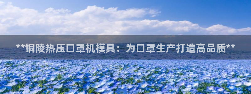 易倍申安理申区别：**铜陵热压口罩机模具：为口罩生产打造