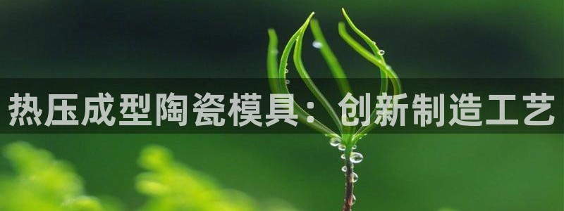 emc易倍ios官网：热压成型陶瓷模具：创新制造工艺