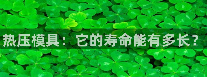 Emc易赔体育