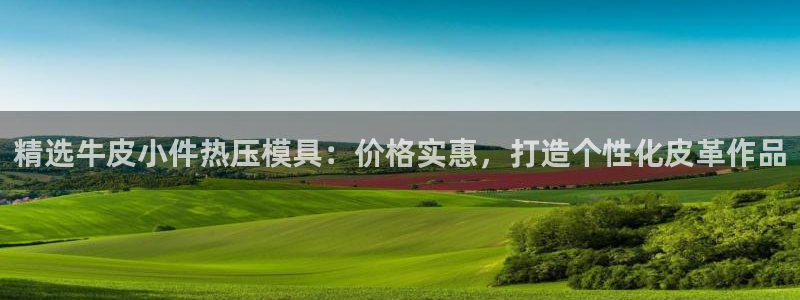 易倍单词app下载：精选牛皮小件热压模具：价格实惠，打造