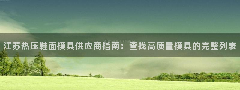emc倍频超了：江苏热压鞋面模具供应商指南：查找高质量模