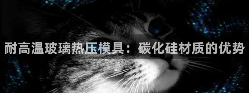 易倍达科技有限公司代运营