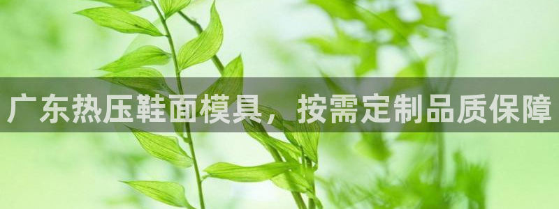易倍emc安全吗