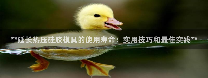 emc app下载：**延长热压硅胶模具的使用寿命：实用
