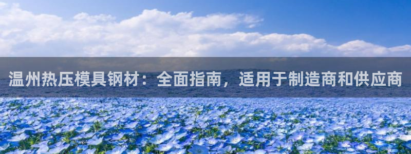 emcapp下载普通下载：温州热压模具钢材：全面指南，适
