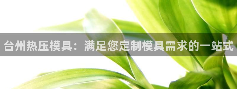 易倍单词app：台州热压模具：满足您定制模具需求的一站式