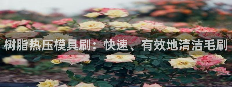 易倍网络技术有限公司官网