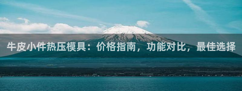 易倍申服用方法：牛皮小件热压模具：价格指南，功能对比，最