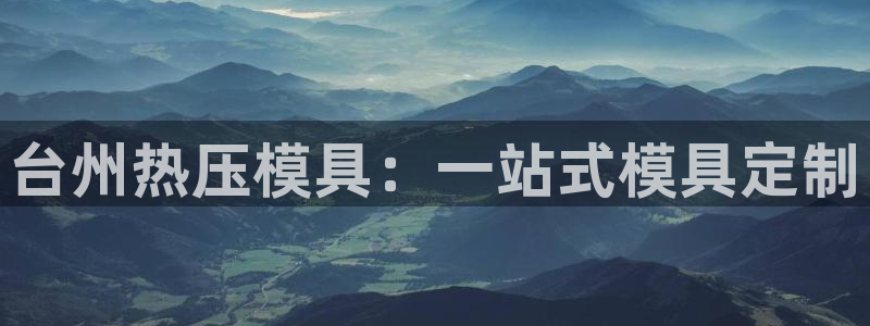 杭州易倍达科技有限公司怎么样：台州热压模具：一站式模具定