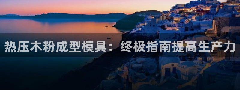 emc易倍黑吗：热压木粉成型模具：终极指南提高生产力