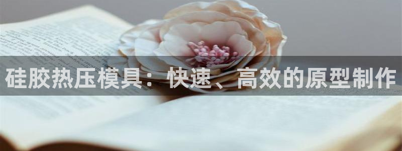 易倍申多少钱