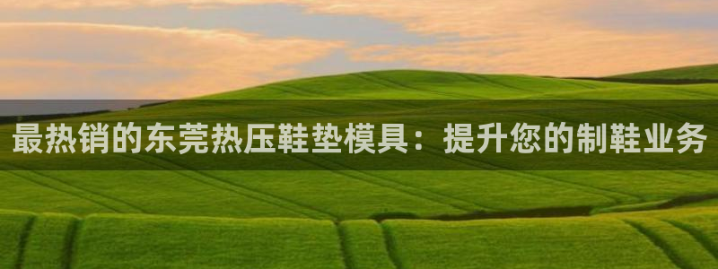 易倍达科技有限公司官网：最热销的东莞热压鞋垫模具：提升您