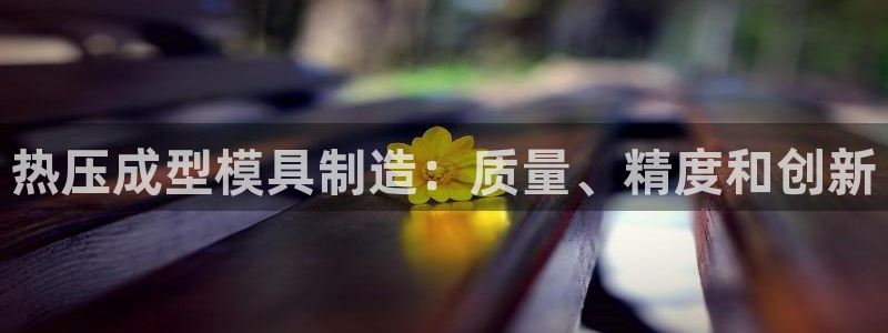 emc易倍账号异常：热压成型模具制造：质量、精度和创新