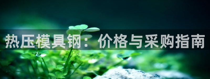 emc易倍网页版：热压模具钢：价格与采购指南