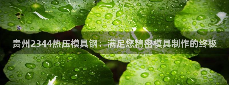 易倍emc网址：贵州2344热压模具钢：满足您精密模具制