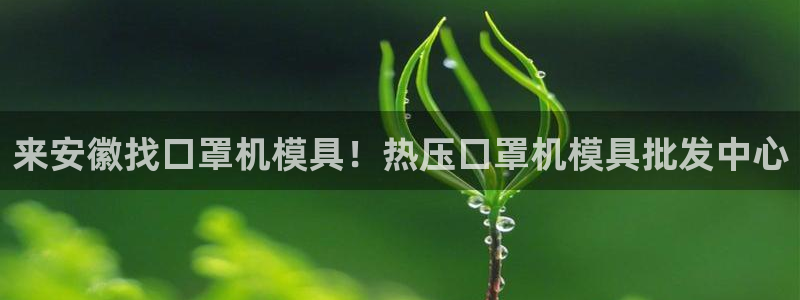 易倍纤怎么使用：来安徽找口罩机模具！热压口罩机模具批发中