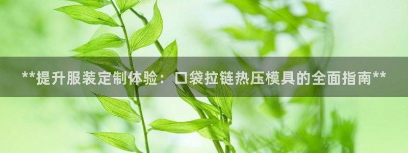 易倍申是进口药吗：**提升服装定制体验：口袋拉链热压模具