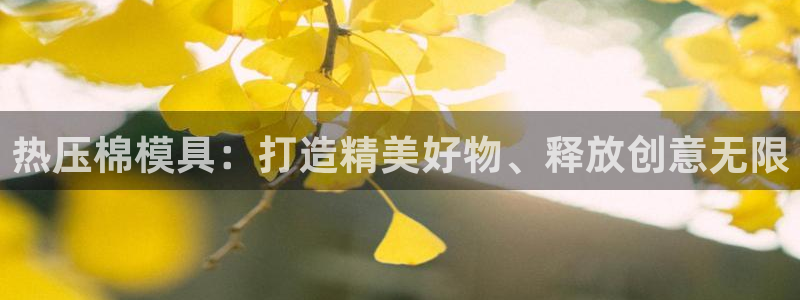 EMC易倍官方平台