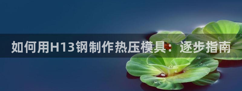 易倍纤减肥价格：如何用H13钢制作热压模具：逐步指南