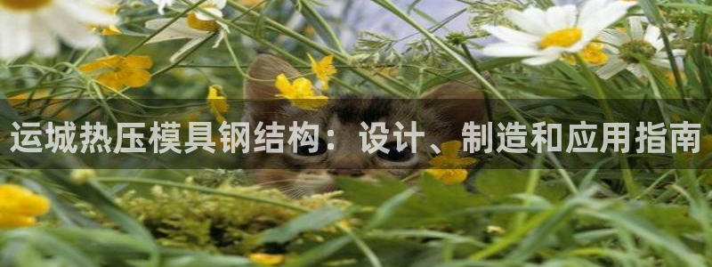 易倍emc网址网页版本登陆