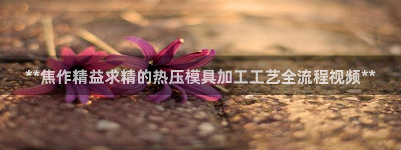 低频的emc用什么滤波：**焦作精益求精的热压模具加工工
