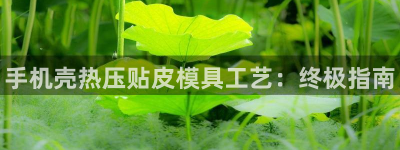 易倍申可以长期服用吗