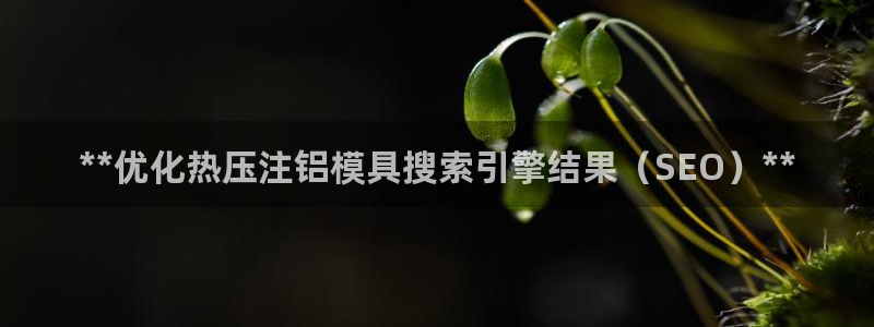 易倍申能长期吃吗：**优化热压注铝模具搜索引擎结果（SE