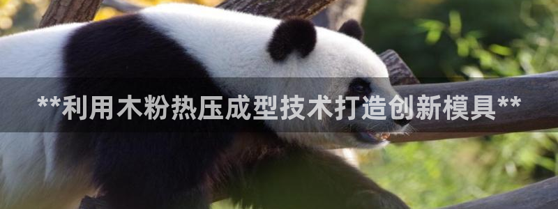 易倍纤使用方法：**利用木粉热压成型技术打造创新模具**
