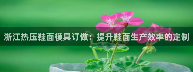 易倍达科技有限公司怎么样：浙江热压鞋面模具订做：提升鞋面