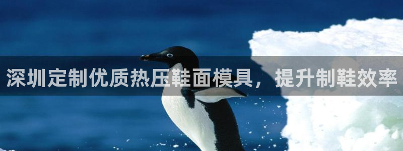 上海易倍投资有限公司