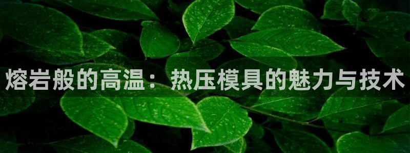 易倍emc网址网页版本登陆：熔岩般的高温：热压模具的魅力