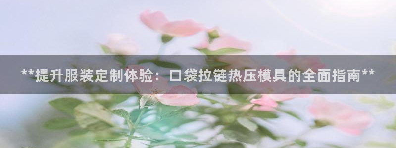 易倍达科技有限公司官网：**提升服装定制体验：口袋拉链热