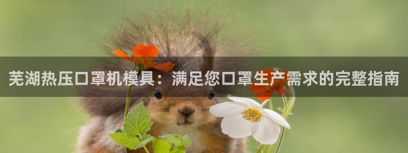 emc易倍出空款：芜湖热压口罩机模具：满足您口罩生产需求