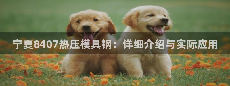 易倍申可以长期服用吗