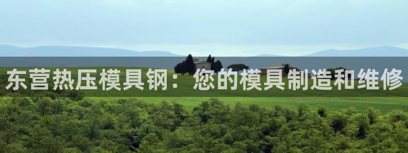 emc易倍下载：东营热压模具钢：您的模具制造和维修